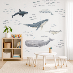 Whale Watch Wall Sticker Pack Feature Wall